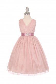 BlushTulle V-Neck with Removable Sash Flower Girl Dress